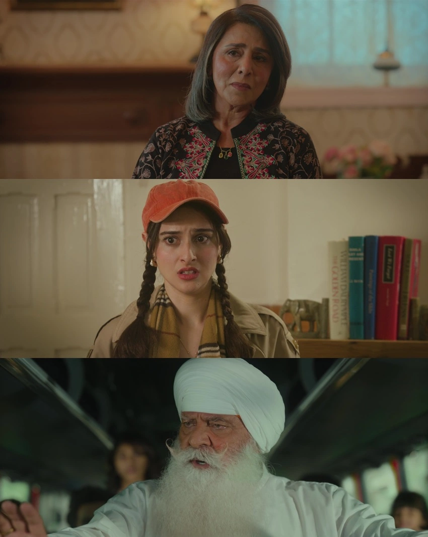 Download Daadi Ki Shaadi (2026) Hindi DD5.1 WEB-DL Netflix 480p 720p 1080p
