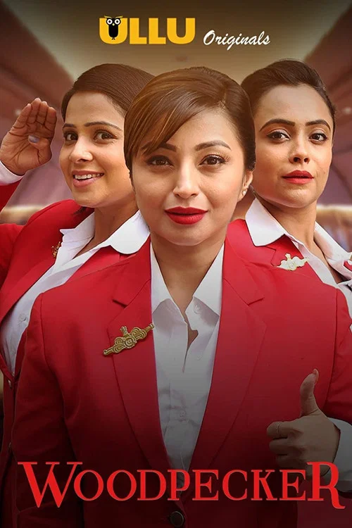 Download [18+] Woodpecker S01 – Part: 2 (2020) Hindi Ullu Originals WEB Series 720p [200MB]